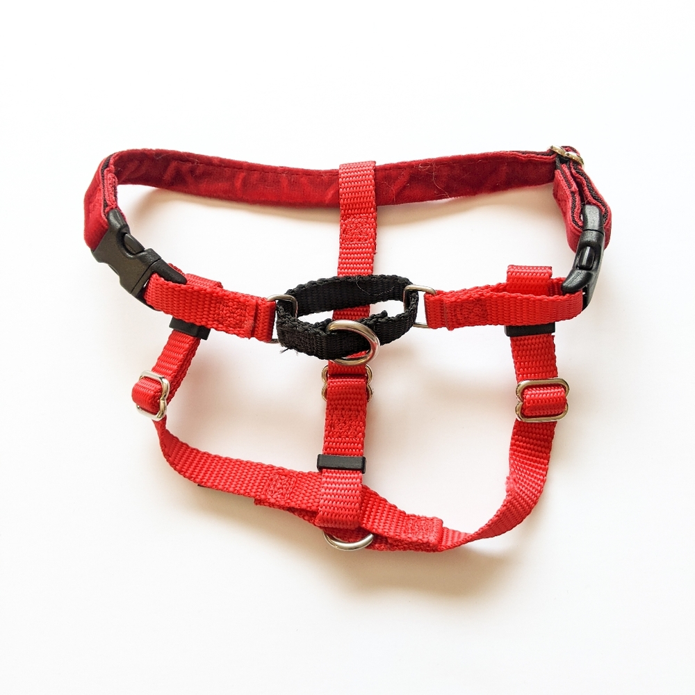 Small Dog / Puppy No Pull Harness